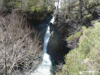 Alto Campoo;Parque Natural Saja-Besaya;cinturon para la espalda taxus cañones del ebro mogarraz fot